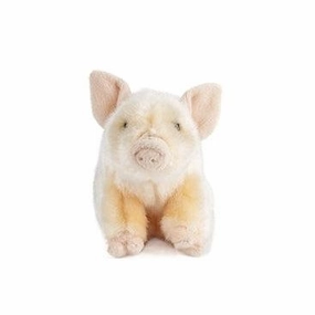 Pink Piglet Holistic Home learning tools