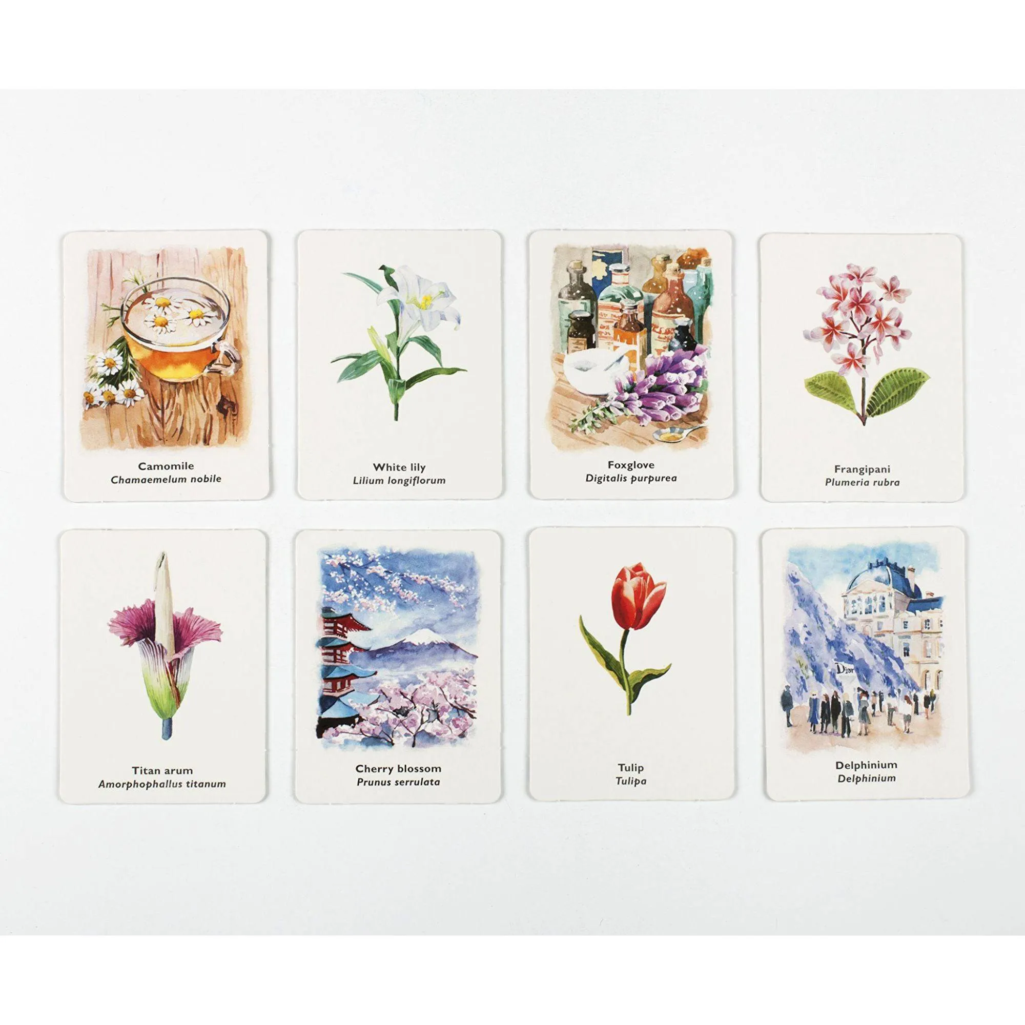 Young explorers Pick A Flower Memory Card Game