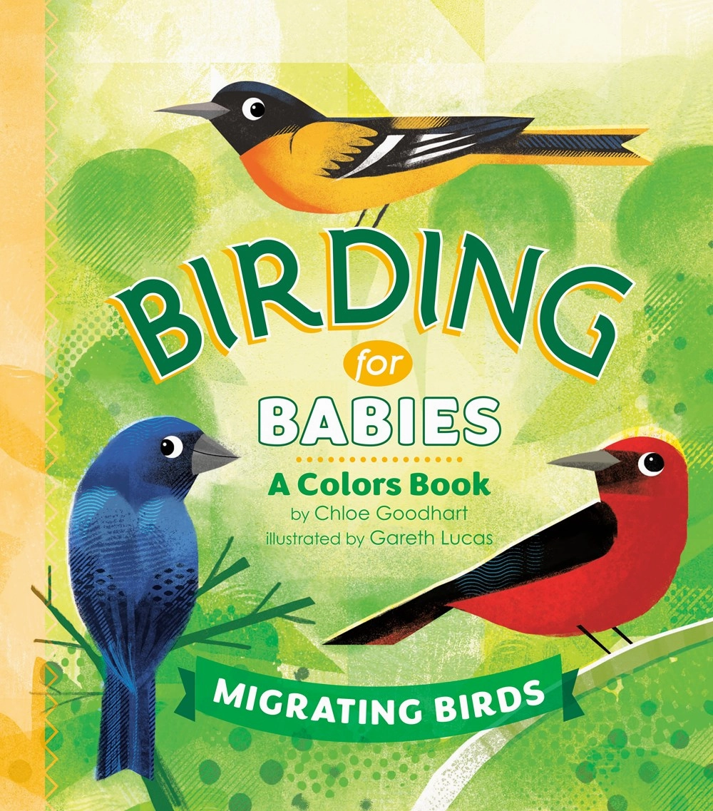 Hands-on discovery Busy kids Birding For Babies: Migrating Birds