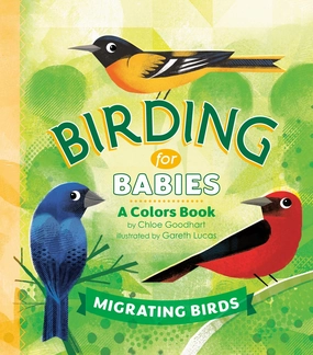 Hands-on discovery Busy kids Birding For Babies: Migrating Birds