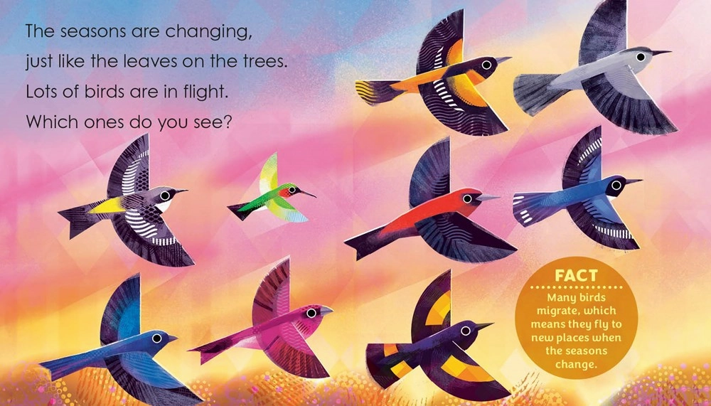 Birding For Babies: Migrating Birds Exploration made fun