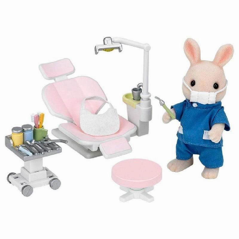 Playroom learning Country Dentist Set