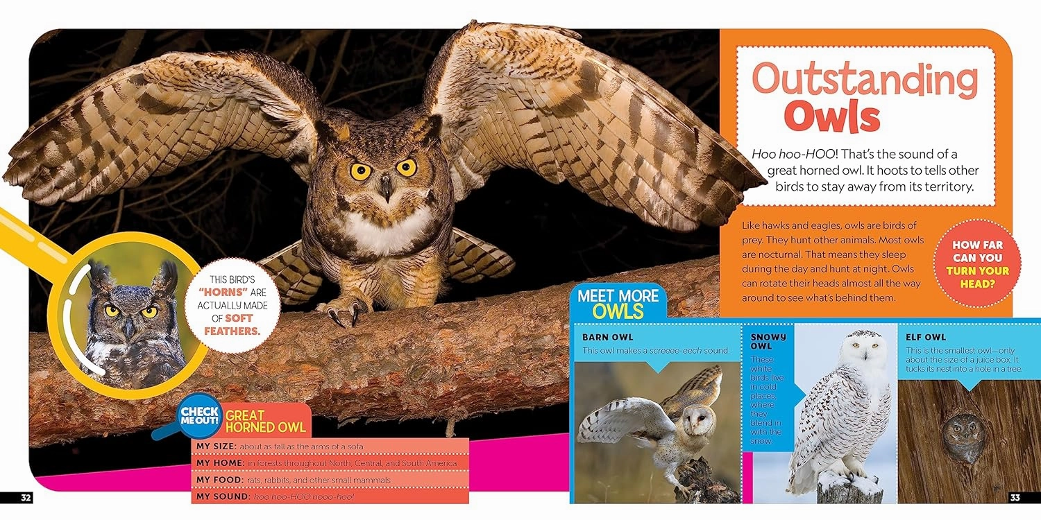 Little Kid'S First Nature Guide: Birds Smart & fun
