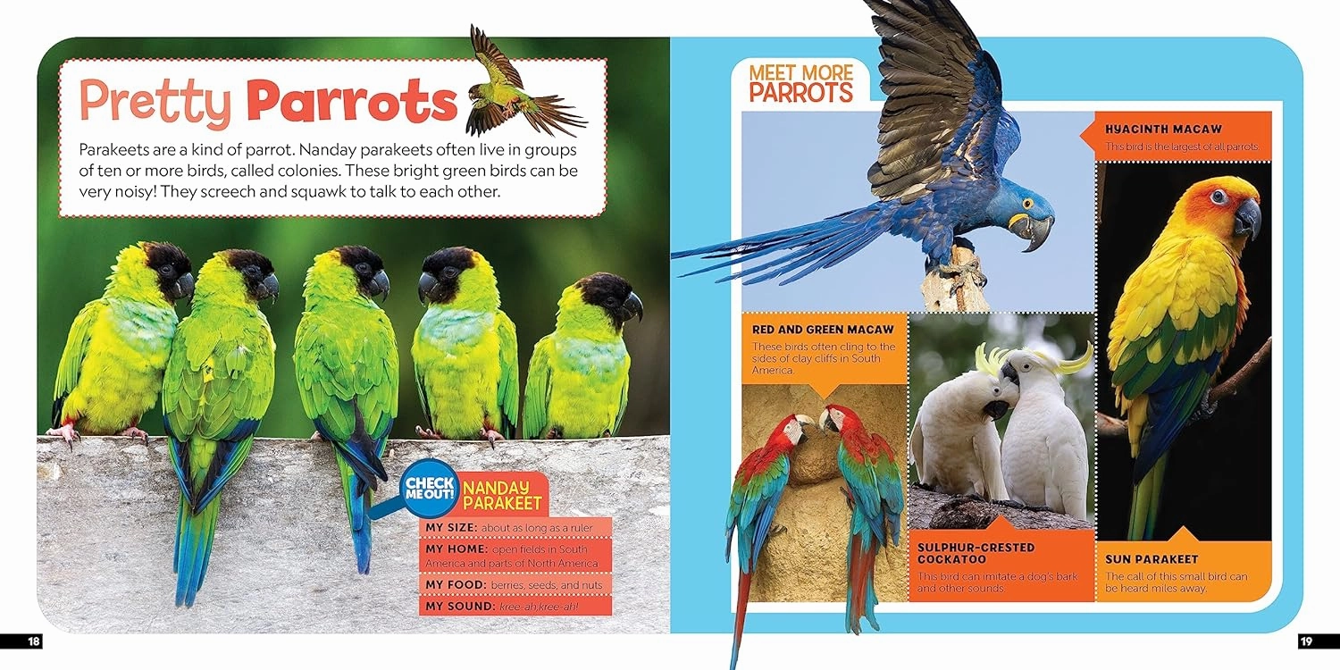 Little Kid'S First Nature Guide: Birds Smart activities for young learners