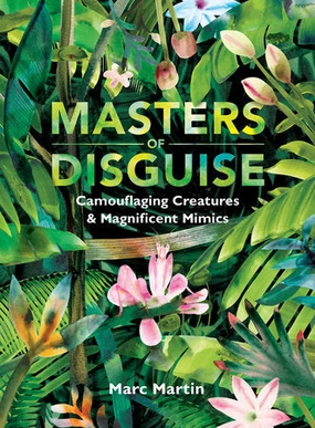 Masters Of Disguise Smart kids gear Smart & fun