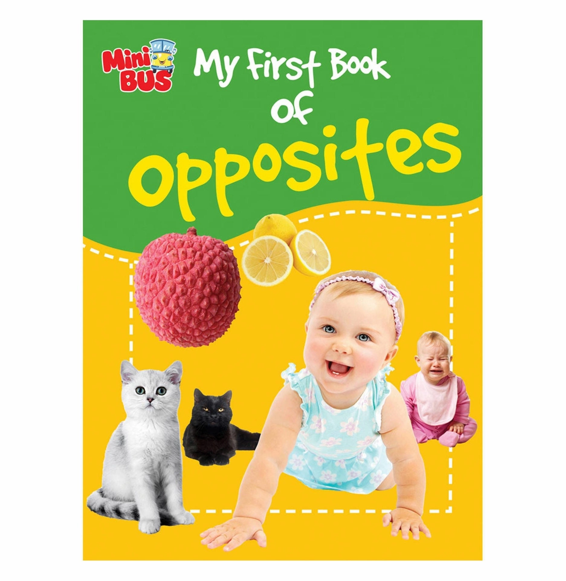 Young minds at work Early discovery My First Book Of Opposites [Paperback] Na
