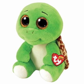 Turbo - Small Turtle Learn & grow