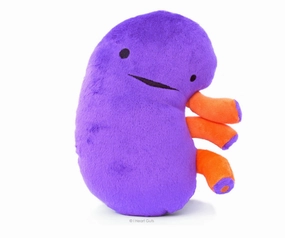 First explorers Parent-approved learning Kidney Plush