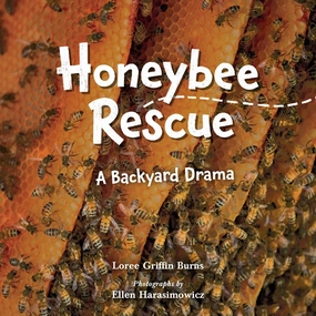 Honeybee Rescue : A Backyard Drama Exploration made fun