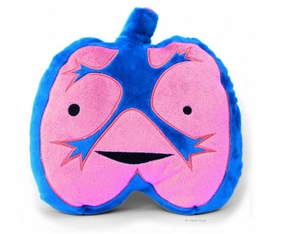 Creative time for curious minds Lungs Plush