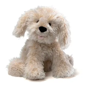 Karina Labradoodle Curiosity starters Little adventures