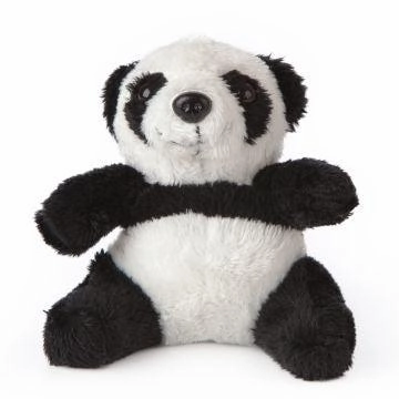 Panda Smols Learn at home
