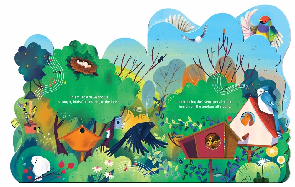 Birdsong Little creators Hands-on discovery