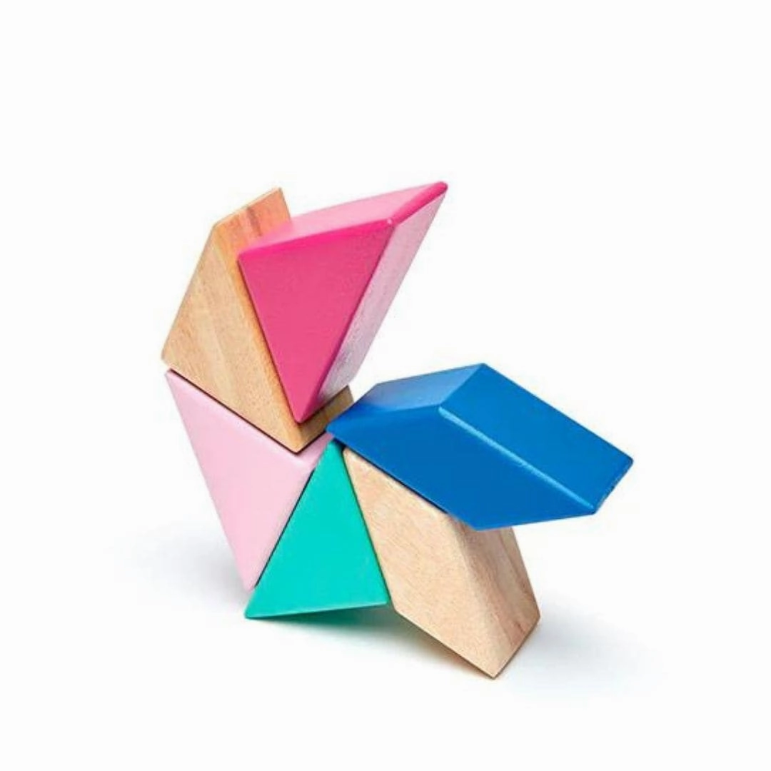 Pocket Pouch Prism Wooden Magnetic Blocks - Blossom Smart activities for young learners