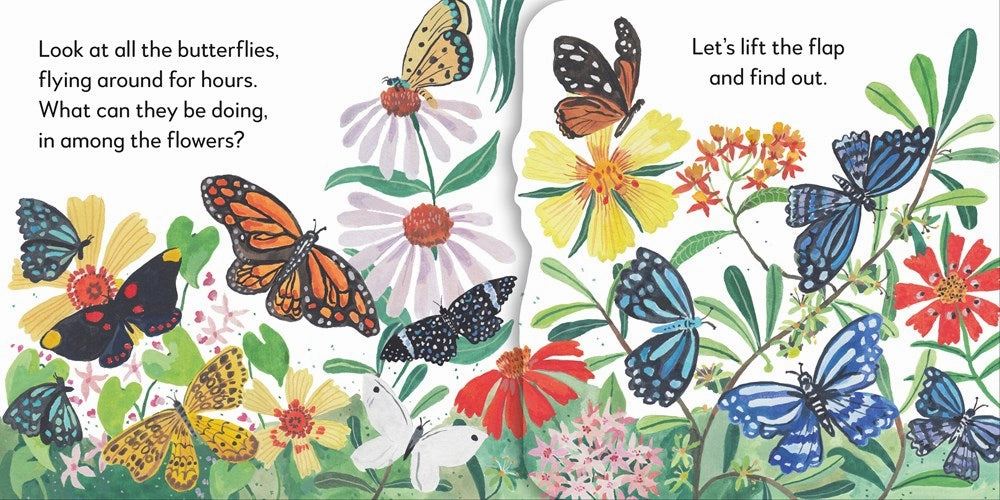 Pop-Up Peekaboo! Butterfly Smart little ones Little adventures