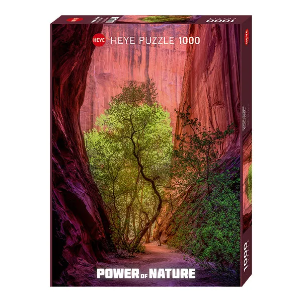 Creative time for curious minds Inspiring creativity Power Of Nature: The Singing Canyon - 1000 Pc