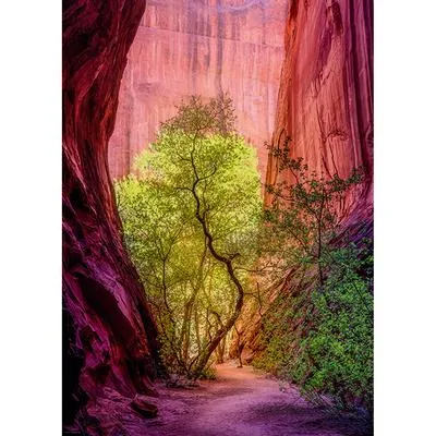 Power Of Nature: The Singing Canyon - 1000 Pc Playful learning Young imaginations