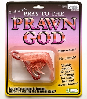 Pray To The Prawn God Busy kids Tools for tiny thinkers