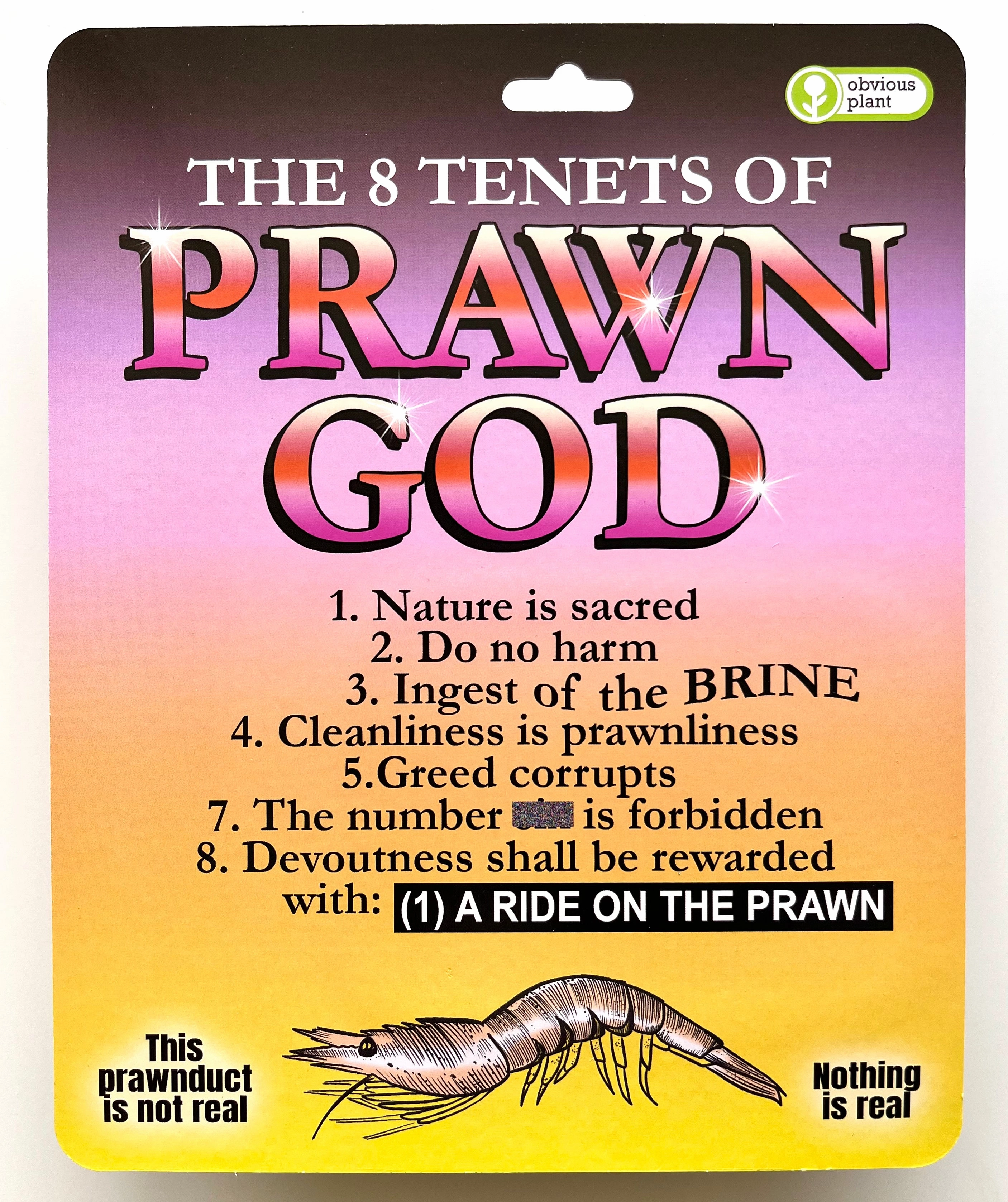Engaging young minds Hands-on discovery Pray To The Prawn God