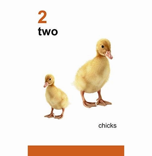 Inspiring creativity Playroom learning Flash Cards: My First Flash Cards 123 [Cards] Om Books Editorial Team