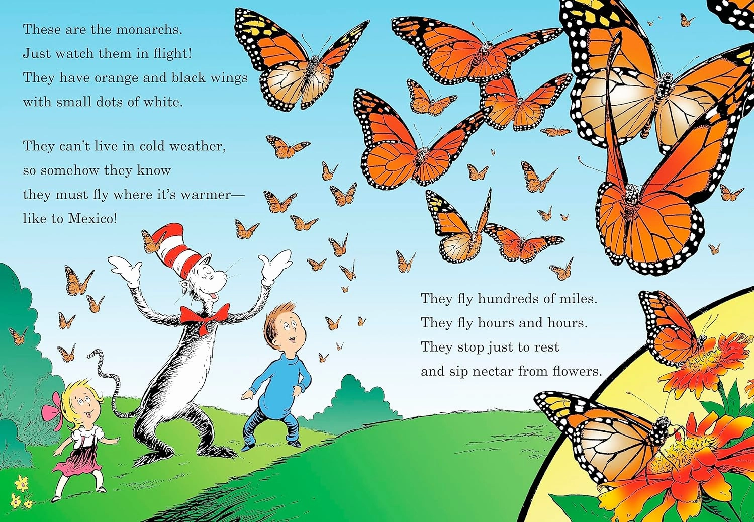Young imaginations Exploration made fun My, Oh My- A Butterfly