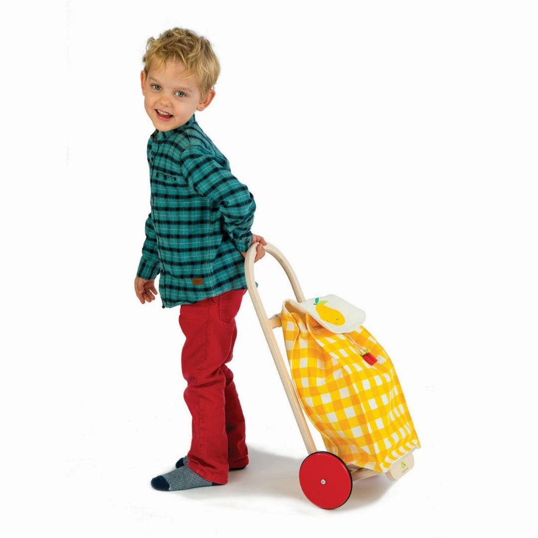 Pull Along Shopping Trolley Learning tools Learn & grow