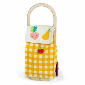 Inspiring creativity Young learners Pull Along Shopping Trolley