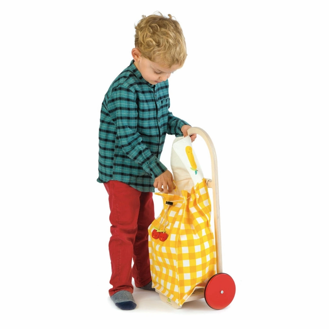 Pull Along Shopping Trolley Discover & grow