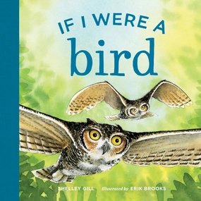 Learning tools Exploration made fun If I Were A Bird