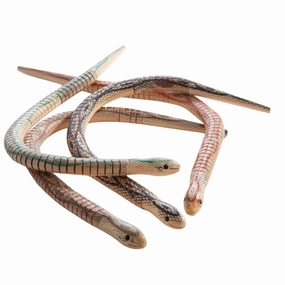 Joyful learning Wooden King Snake Toy