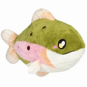 Little adventures Rainbow Trout
