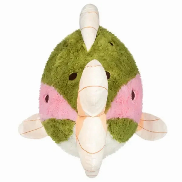 Rainbow Trout Kids discovery tools Skill-building tools