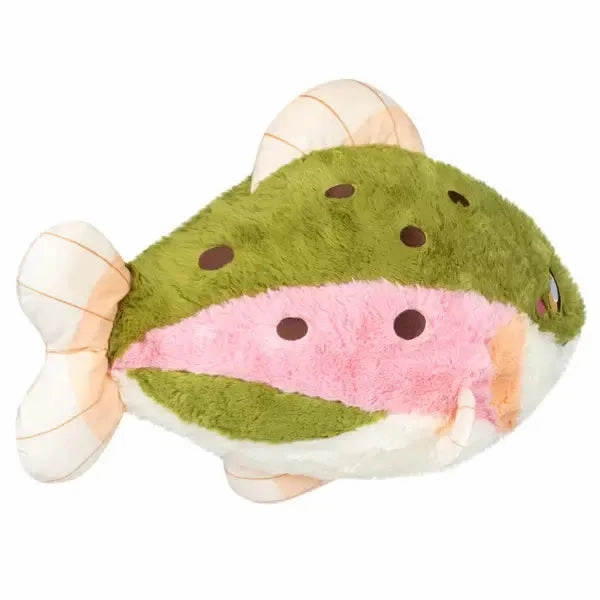 Fun for curious minds Rainbow Trout