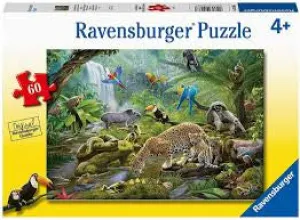 Rainforest Animals 60Cps Sensory fun for little hands Moments of imagination