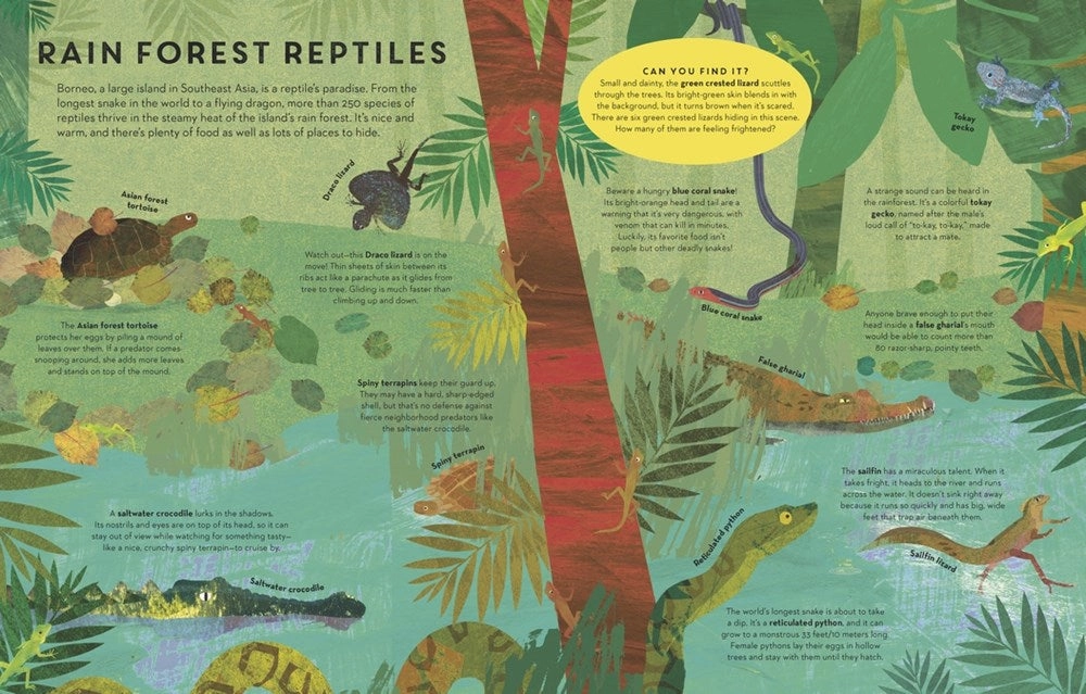 Little learners Enrichment activities Reptiles Everywhere