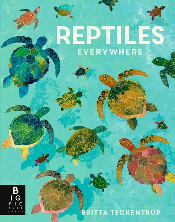 Imaginative play Reptiles Everywhere