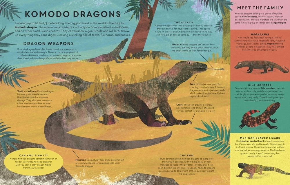 Kids discovery tools Reptiles Everywhere