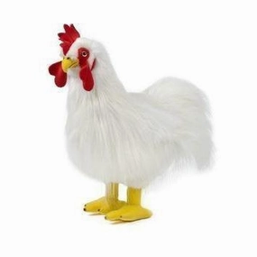 Rooster Play & learn Home learning tools