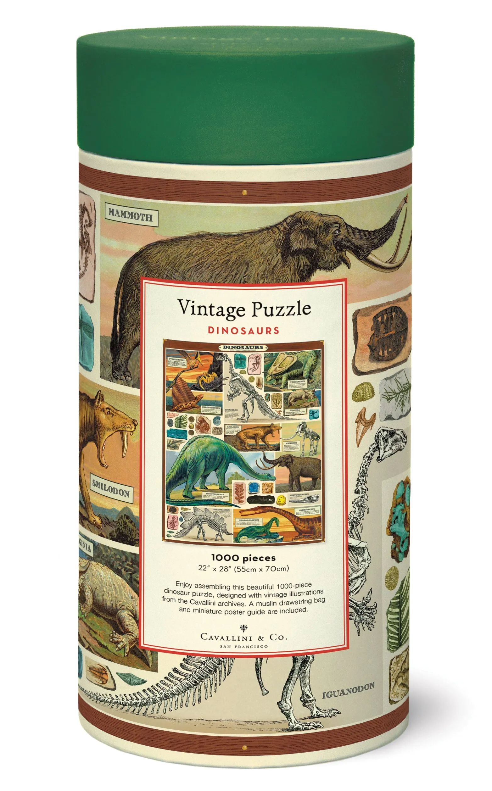 Cavallini & Co. Dinosaurs 1000 Piece Puzzle Kid-focused experiences