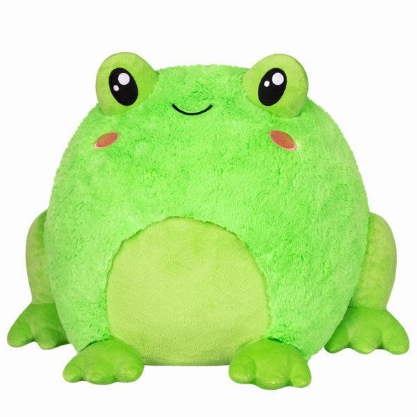 Frog Learning fun Hands-on discovery