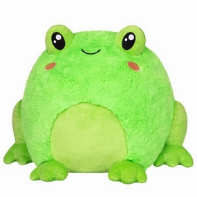 Frog Learning fun Hands-on discovery