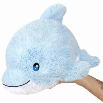 Busy kids Tiny thinkers Mini Dolphin