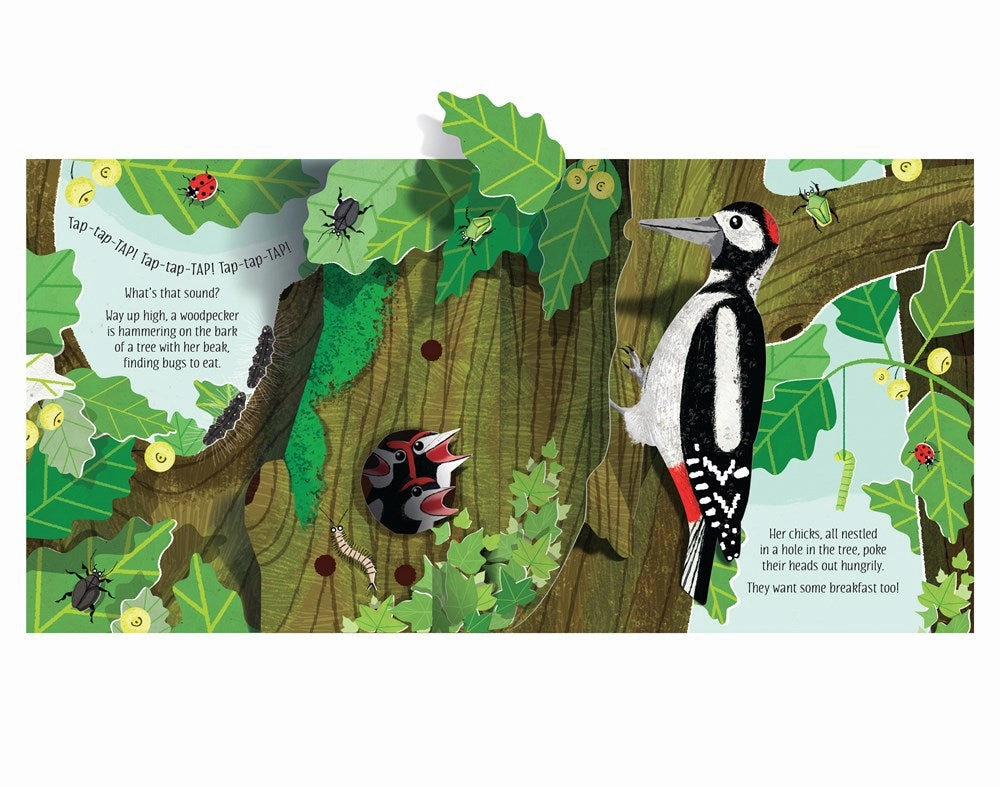 Playroom adventures begin here Pop-Up Nature