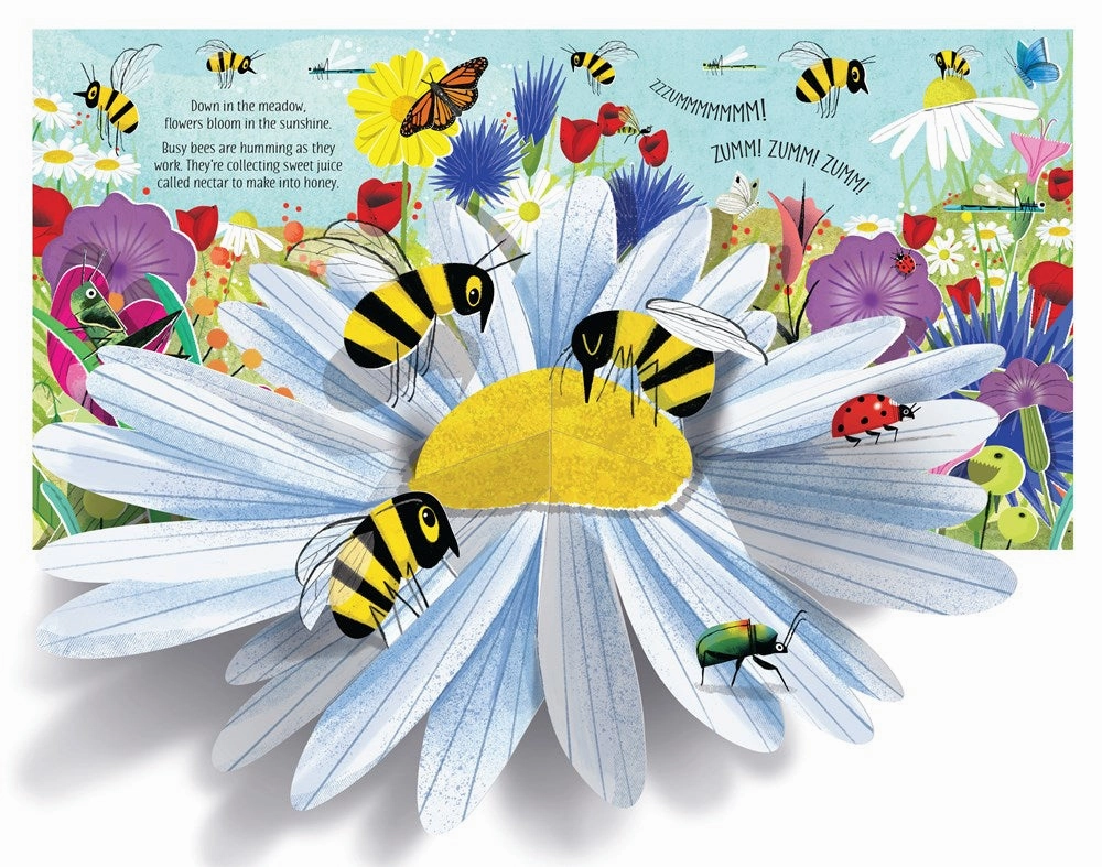 Pop-Up Nature Skill-building tools