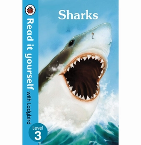 Sharks : Read It Yourself With Ladybird: Level 3 (Non:Fiction) [Paperback] Ladybird [Paperback] Ladybird Enrichment activities Holistic