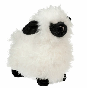 Play & learn Shiloh Sheep
