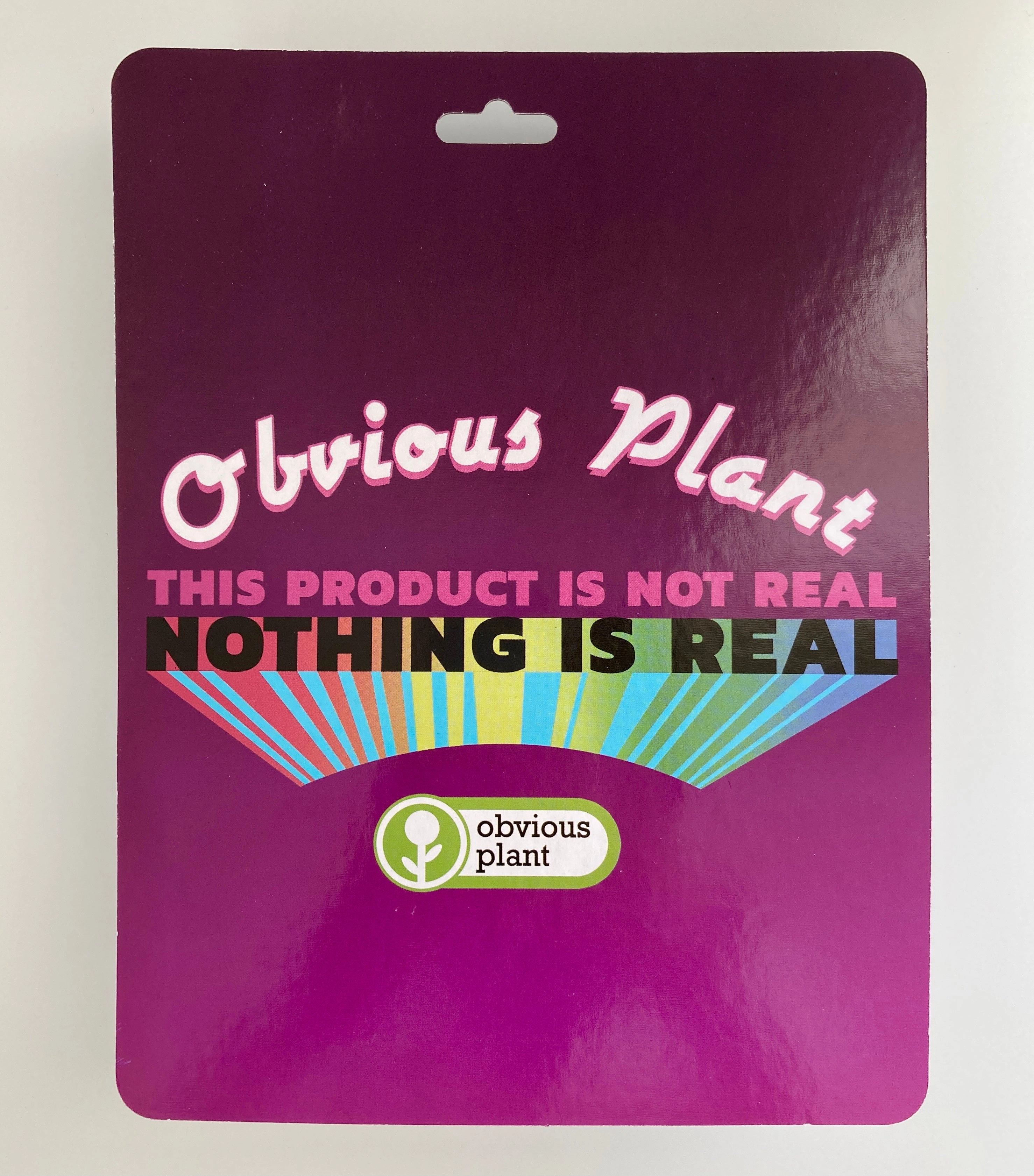 Shut Your Big, Dumb Mouth - Adult Pacifiers Curious minds Tools for tiny thinkers