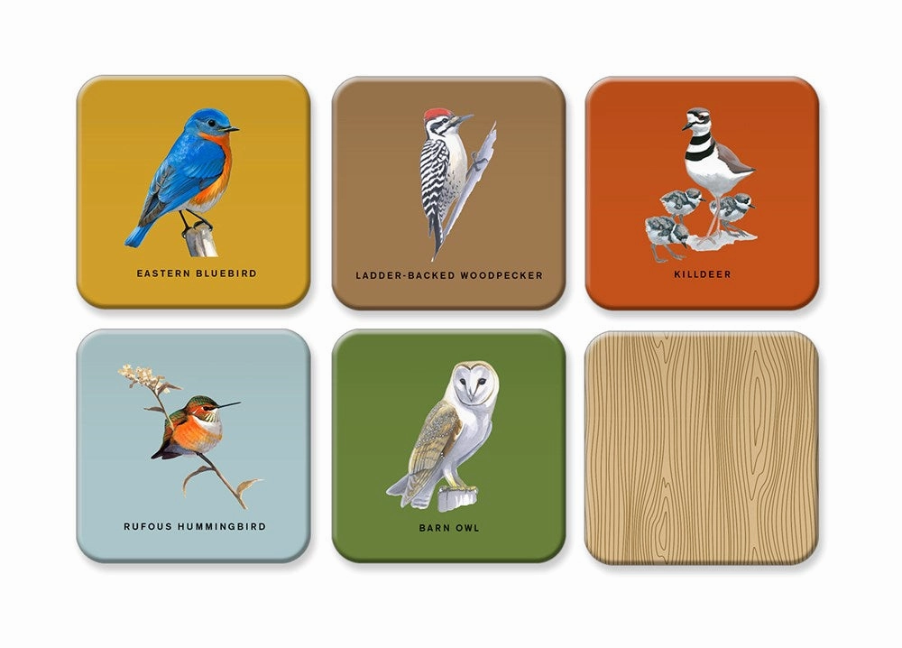 Sibley Backyard Birds Matching Game Exploration made fun Nurturing minds