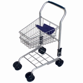 Child development Silver Shopping Trolley