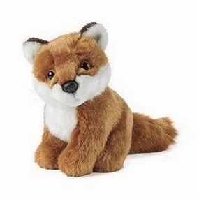 Sitting Fox Curiosity starters Young minds at work